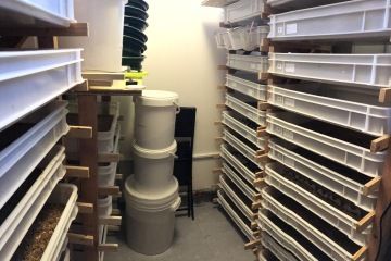 hnojík.cz přepravky s červy