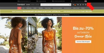 trendyol bnpl