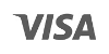 Logo VISA