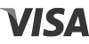 Logo Visa